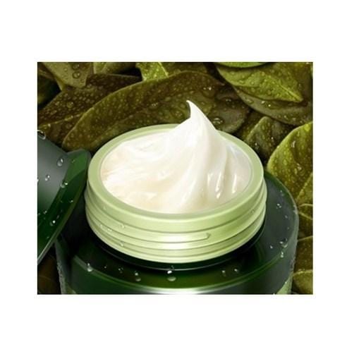 [TONYMOLY] Crème Hydratante Thé Vert de Chok Chok 100ml