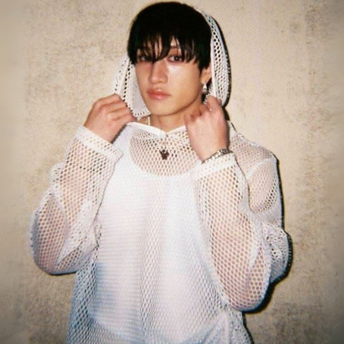 Sweat Filet Capuche Bang Chan - Groupe Stray Kids